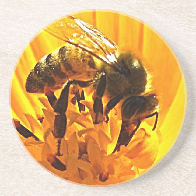 Posavasos De Arenisca Bee on the Flower (Frente)