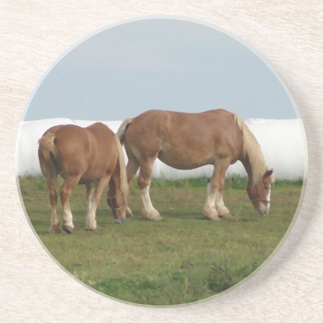 Posavasos De Arenisca Belgas (Frente)