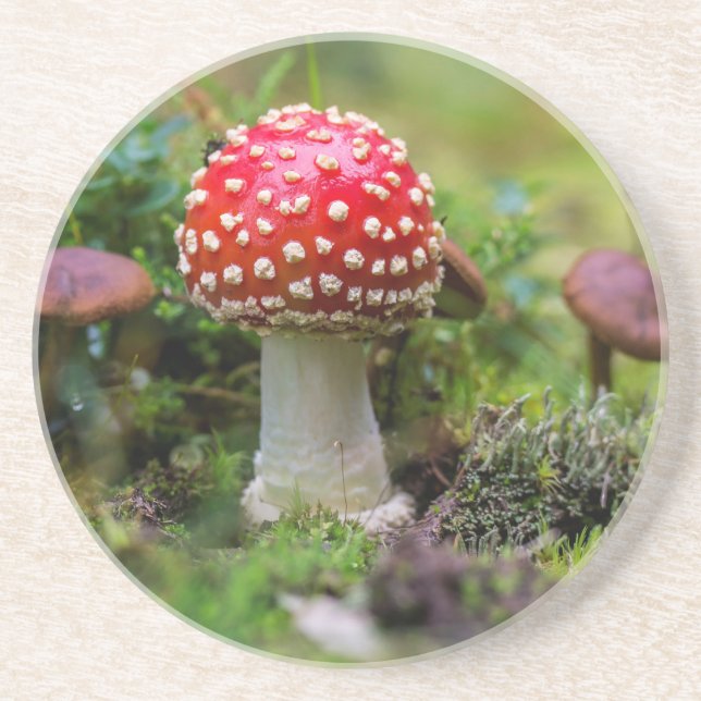 Posavasos De Arenisca Belleza de otoño (Frente)