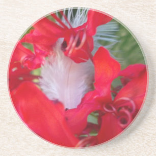 Posavasos De Arenisca Belleza Delicada: Flor roja con pluma blanca