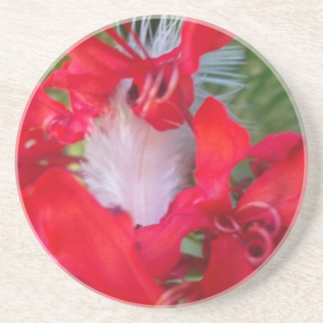 Posavasos De Arenisca Belleza Delicada: Flor roja con pluma blanca (Frente)