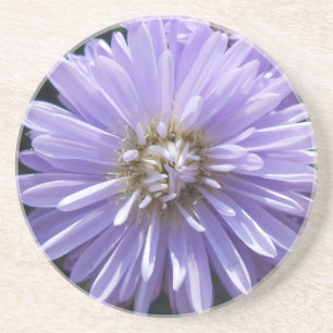 Posavasos De Arenisca Berlineta