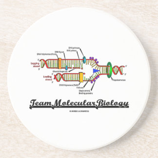 Posavasos De Arenisca Biología molecular del equipo (réplica de la DNA)