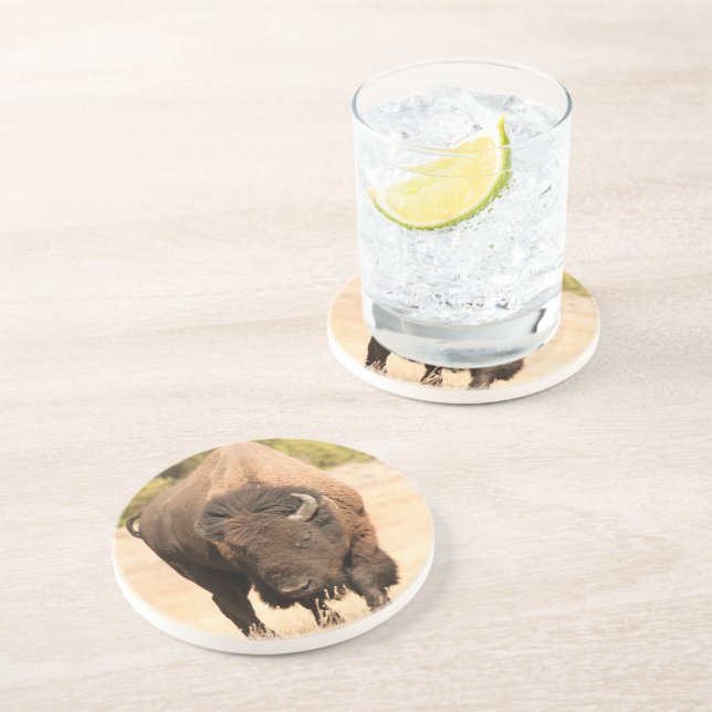 Posavasos De Arenisca Bisonte (Lado)