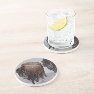 Posavasos De Arenisca Bisonte de Yellowstone