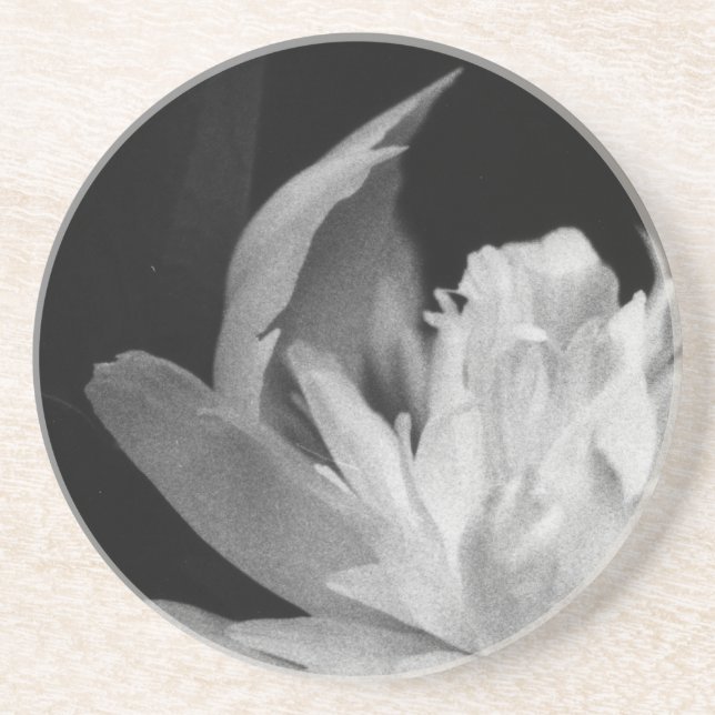 Posavasos De Arenisca Blanc (Frente)