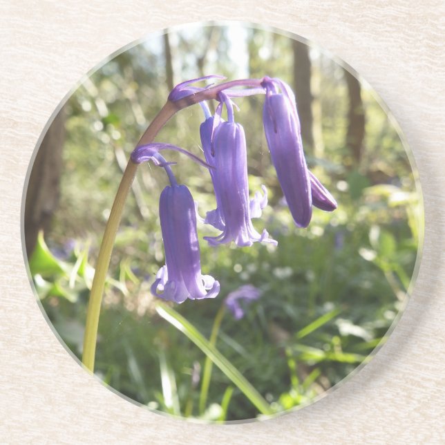 Posavasos De Arenisca Bluebells Sandstone Coaster (Frente)