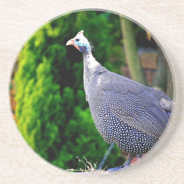 Posavasos De Arenisca Bola de Guinea azul de pie al sol (Frente)