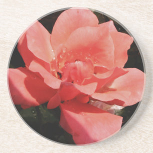 Posavasos De Arenisca Bonito Rosa Rosa Rosa floral
