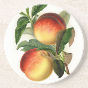 Posavasos De Arenisca Bonitos Peaches
