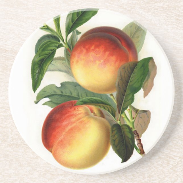 Posavasos De Arenisca Bonitos Peaches (Frente)
