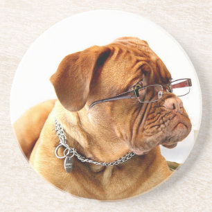 Posavasos De Arenisca Bordeauxdog