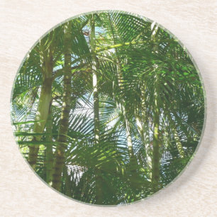 Posavasos De Arenisca Bosque de palmeras Naturaleza tropical