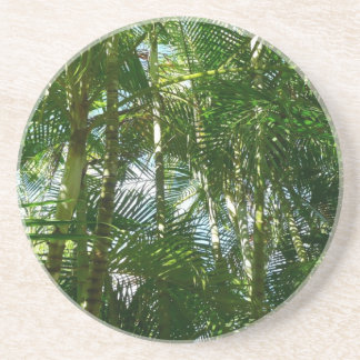 Posavasos De Arenisca Bosque de palmeras Naturaleza tropical