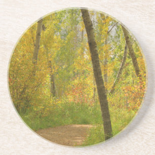 Posavasos De Arenisca Bosques de otoño
