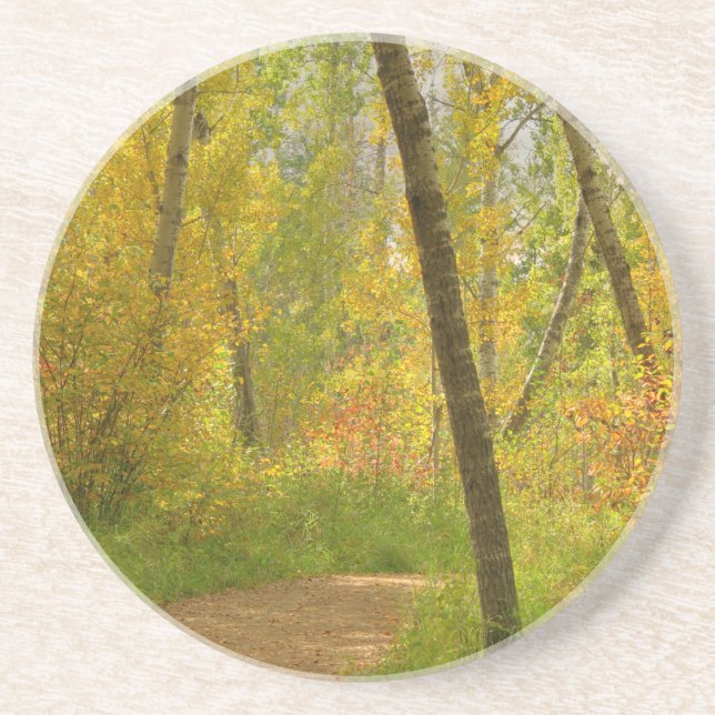 Posavasos De Arenisca Bosques de otoño (Frente)