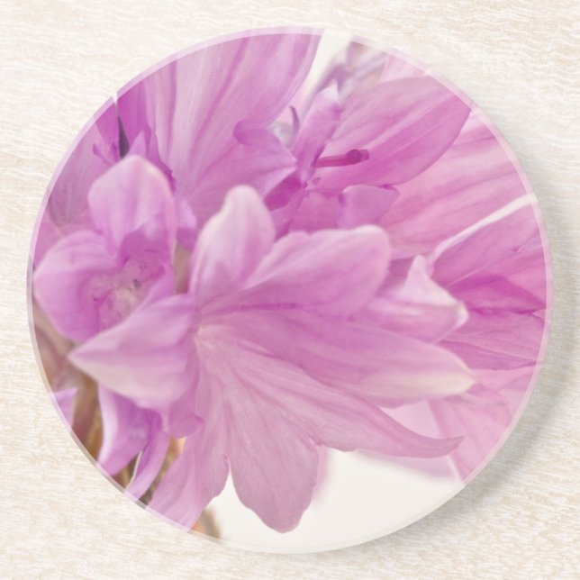 Posavasos De Arenisca botón Batchelor (Frente)