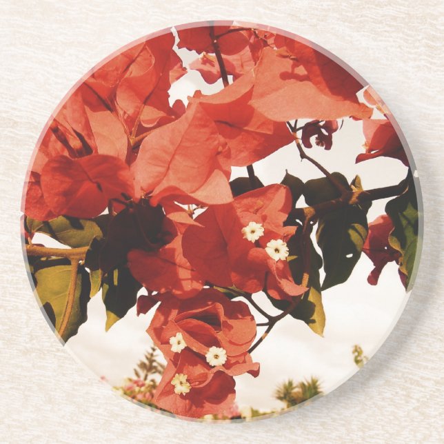 Posavasos De Arenisca Bouganvillia (Frente)
