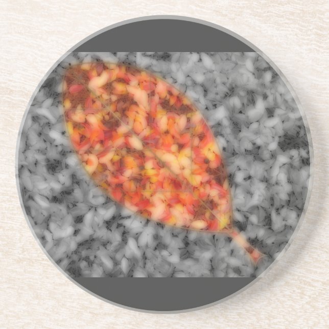Posavasos De Arenisca Bright Shadows Coaster (Frente)