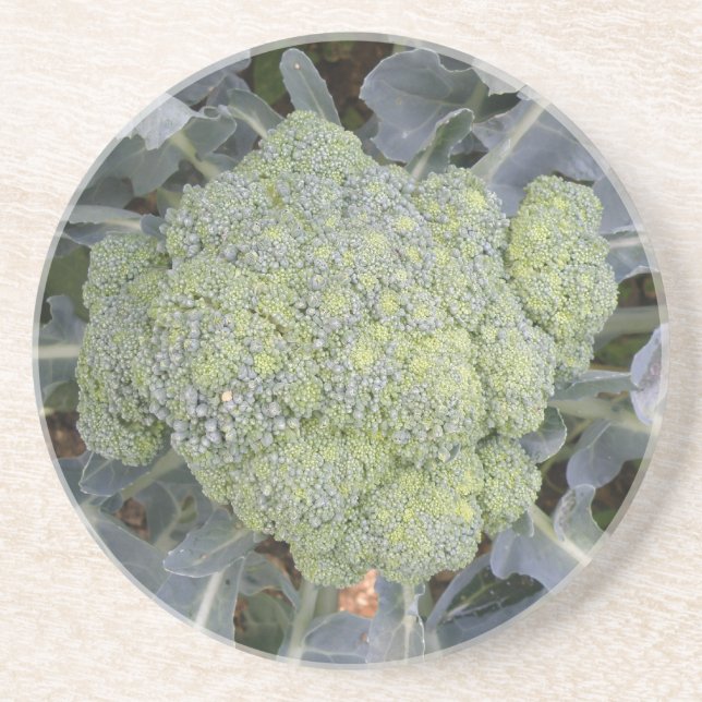 Posavasos De Arenisca Broccoli Coasters (Frente)