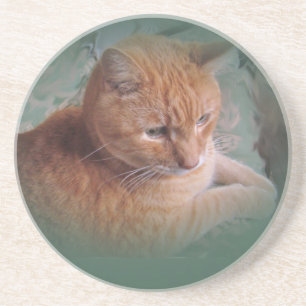 Posavasos De Arenisca Bubba el Naranja Tabby Tomcat