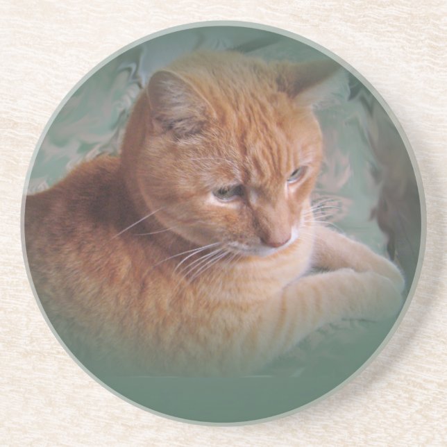 Posavasos De Arenisca Bubba el Naranja Tabby Tomcat (Frente)