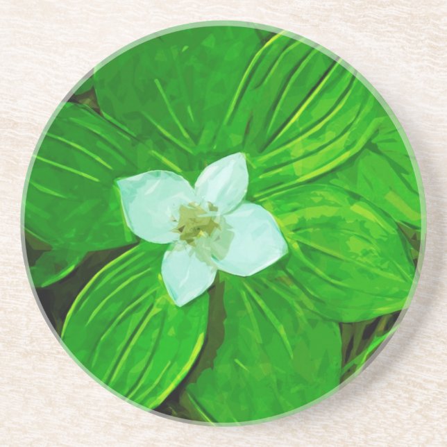Posavasos De Arenisca Bunchberry White Wildflower (Frente)