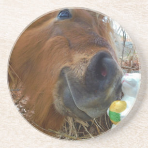 Posavasos De Arenisca Bunny de Pascua y caballo marrón