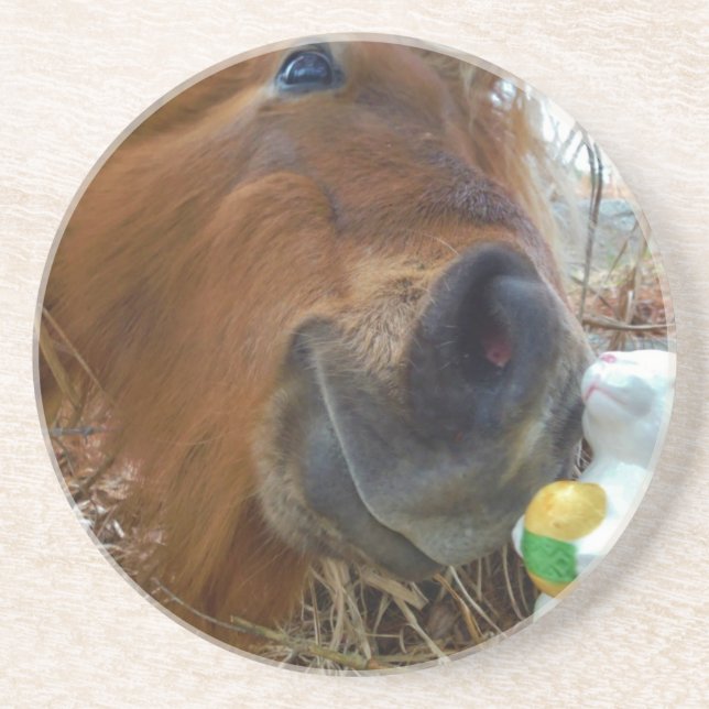 Posavasos De Arenisca Bunny de Pascua y caballo marrón (Frente)