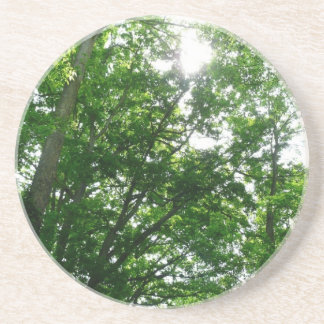 Posavasos De Arenisca Buscando árboles de verano