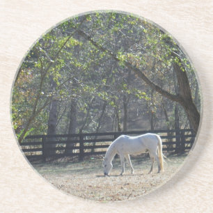 Posavasos De Arenisca Caballo blanco en los árboles