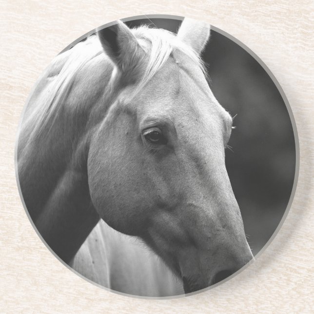 Posavasos De Arenisca Caballo blanco negro (Frente)