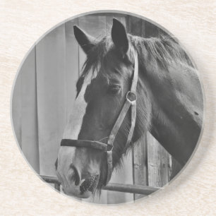 Posavasos De Arenisca Caballo blanco negro - Arte fotográfico animal