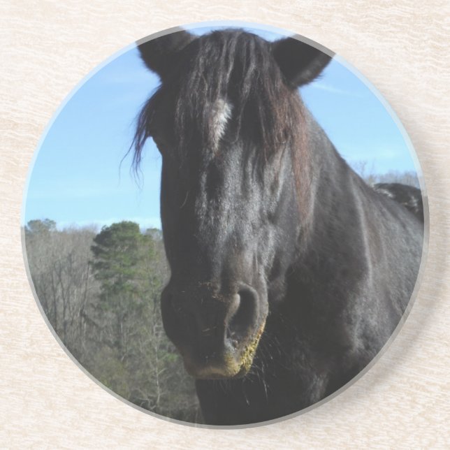 Posavasos De Arenisca Caballo de Borrador Negro rescatado (Frente)