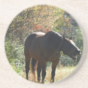 Posavasos De Arenisca Caballo en otoño