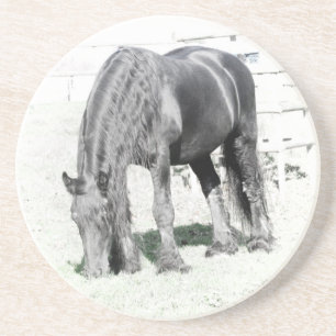 Posavasos De Arenisca Caballo Friesio Stallion Animal Naturaleza animal