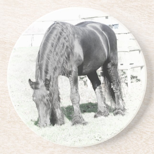 Posavasos De Arenisca Caballo Friesio Stallion Animal Naturaleza animal  (Frente)