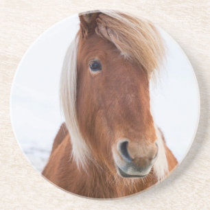 Posavasos De Arenisca Caballo islandés durante el invierno