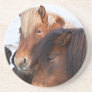 Posavasos De Arenisca Caballo islandés durante el invierno en Islandia