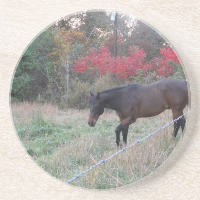 Posavasos De Arenisca Caballo marrón en los árboles de otoño rojos (Frente)