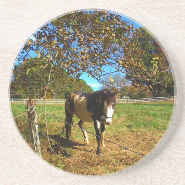 Posavasos De Arenisca Caballo pintado, (Frente)