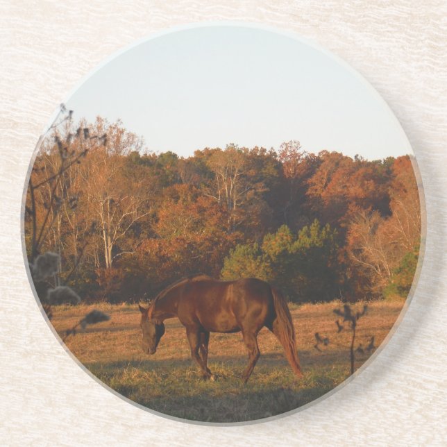 Posavasos De Arenisca Caballo rojo marrón, bosque otoñal. (Frente)