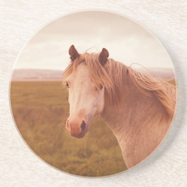 Posavasos De Arenisca Caballo salvaje (Frente)