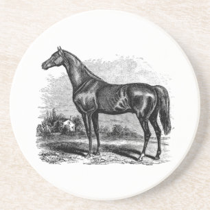 Posavasos De Arenisca Caballos excelentes retros del caballo de raza de