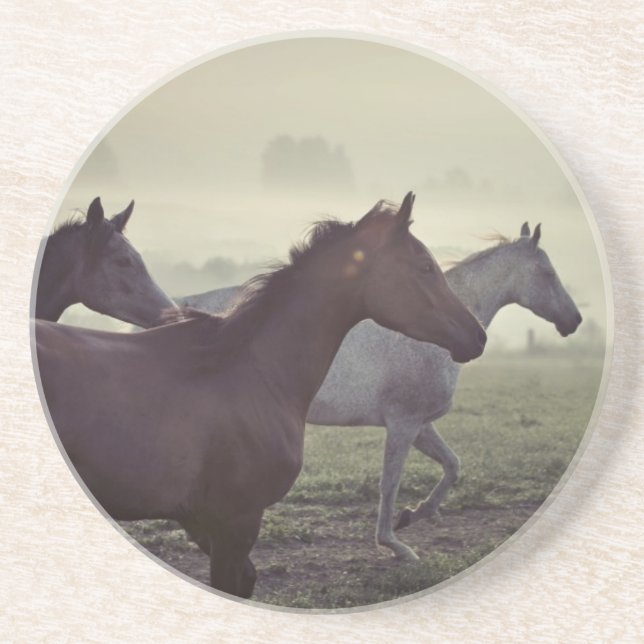 Posavasos De Arenisca Caballos salvajes (Frente)