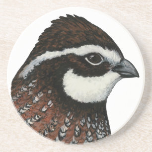 Posavasos De Arenisca Cabeza de codorniz Bobwhite