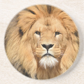 Posavasos De Arenisca Cabeza de león