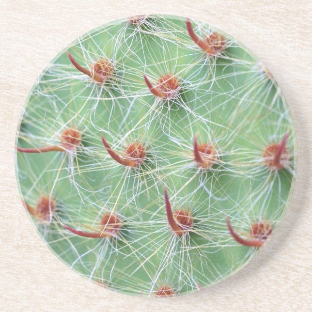 Posavasos De Arenisca cactus (Frente)