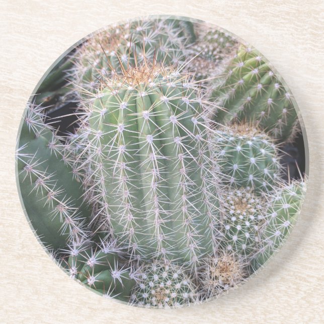 Posavasos De Arenisca Cactus (Frente)