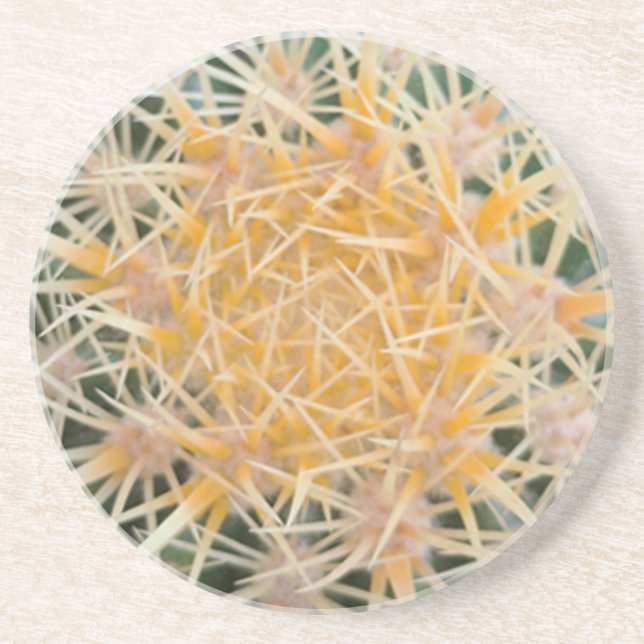 Posavasos De Arenisca Cactus (Frente)